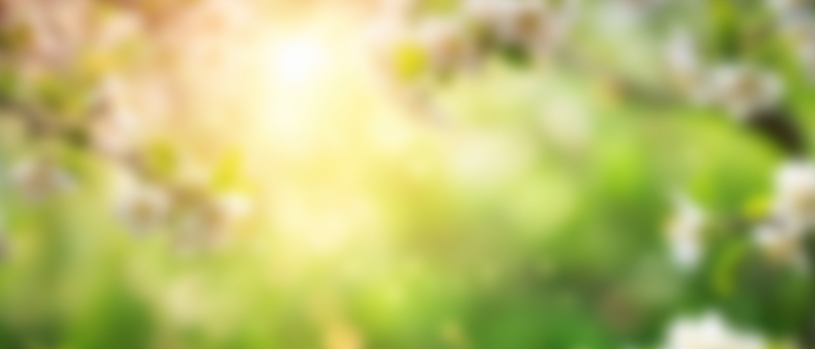 Spring Spins Tournament background